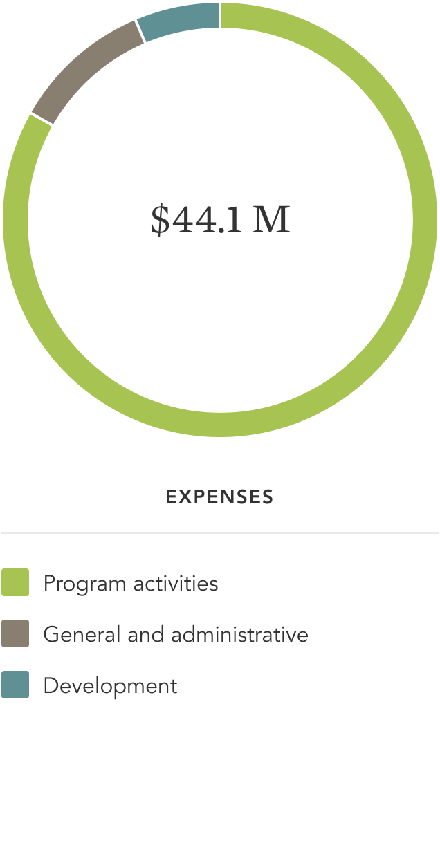 expenses image