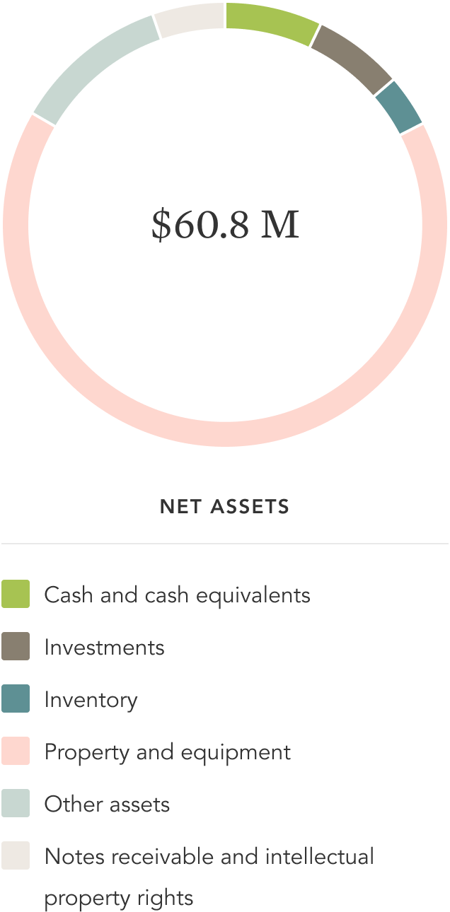 net assets image